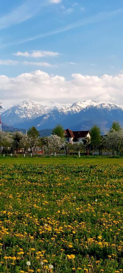 Das Home Rîşnov Exterior foto